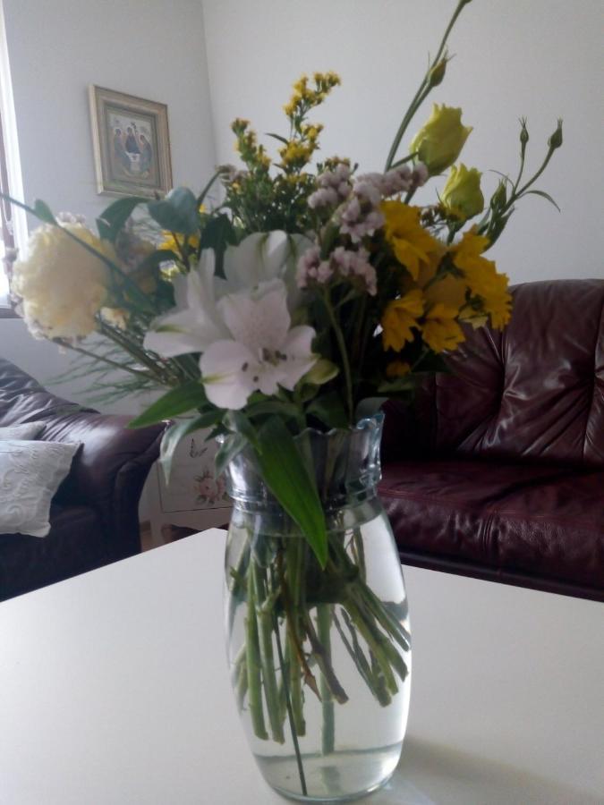 Nektar 88 Apartment Vrnjacka Banja Luaran gambar