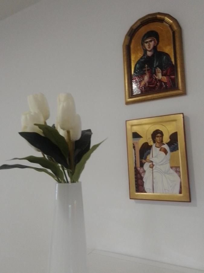 Nektar 88 Apartment Vrnjacka Banja Luaran gambar