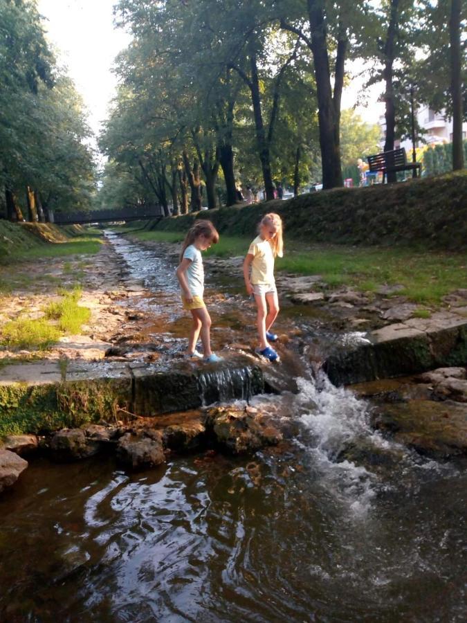 Nektar 88 Apartment Vrnjacka Banja Luaran gambar